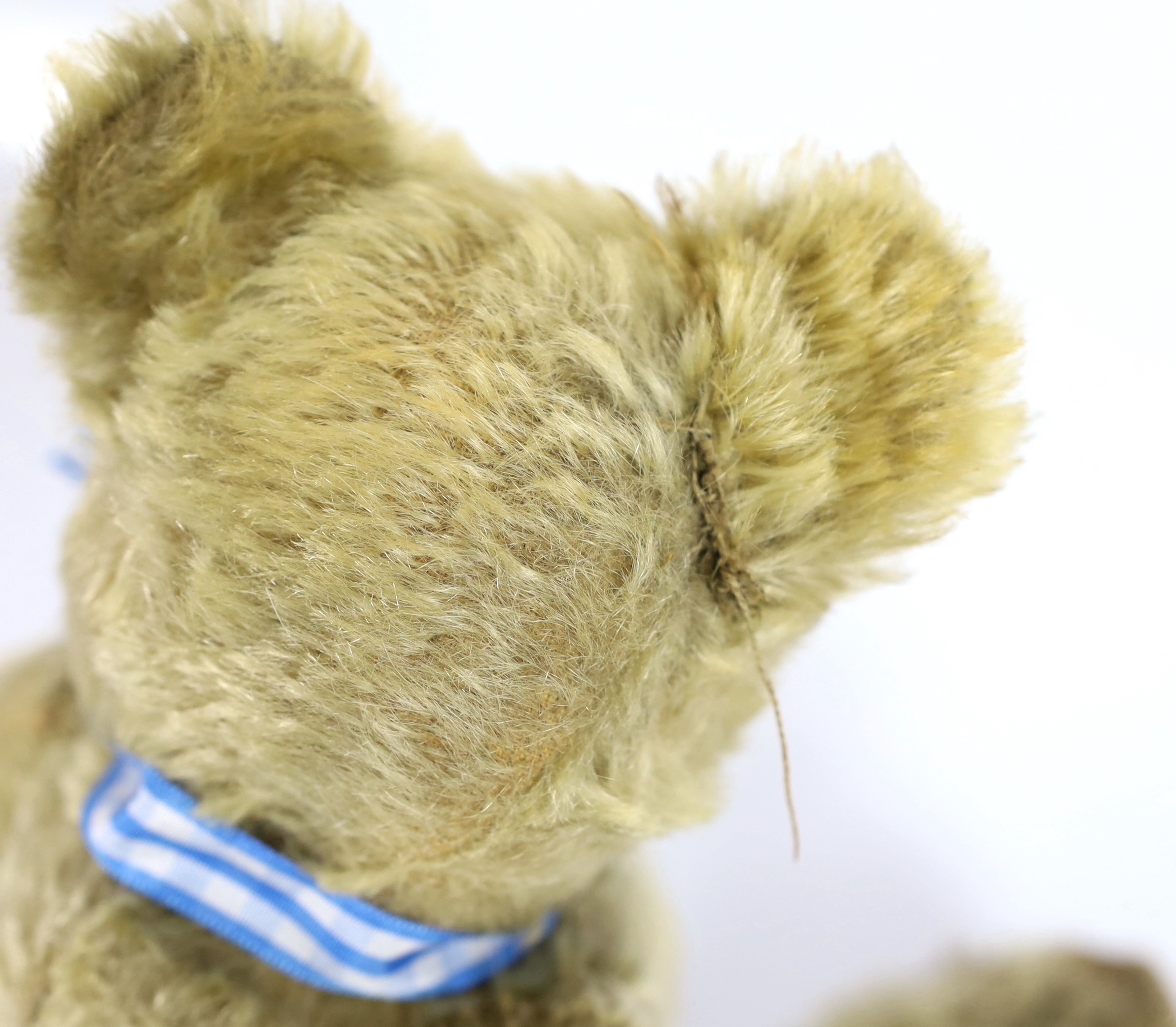 A Farnell bear, c.1912, 33cm, bear paw pads restored, hair loss to stomach